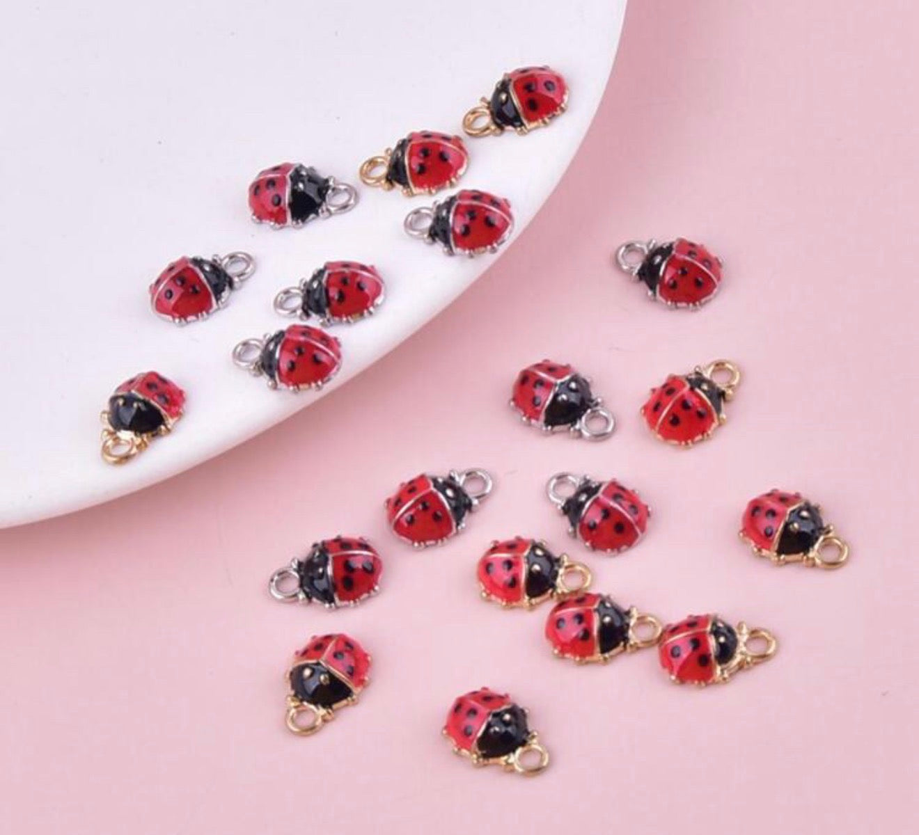 Lady Bug Charm