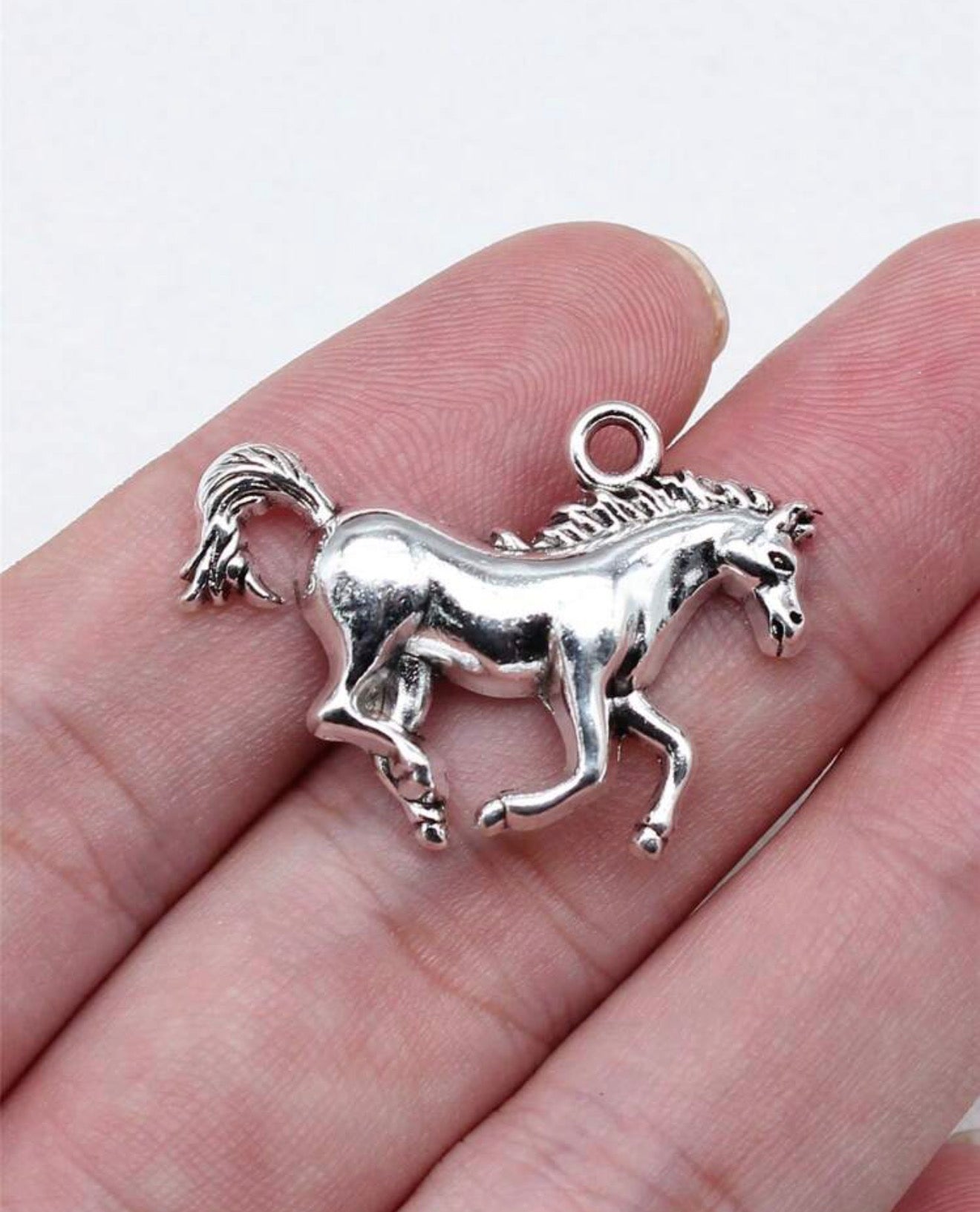 Silver Western Charms